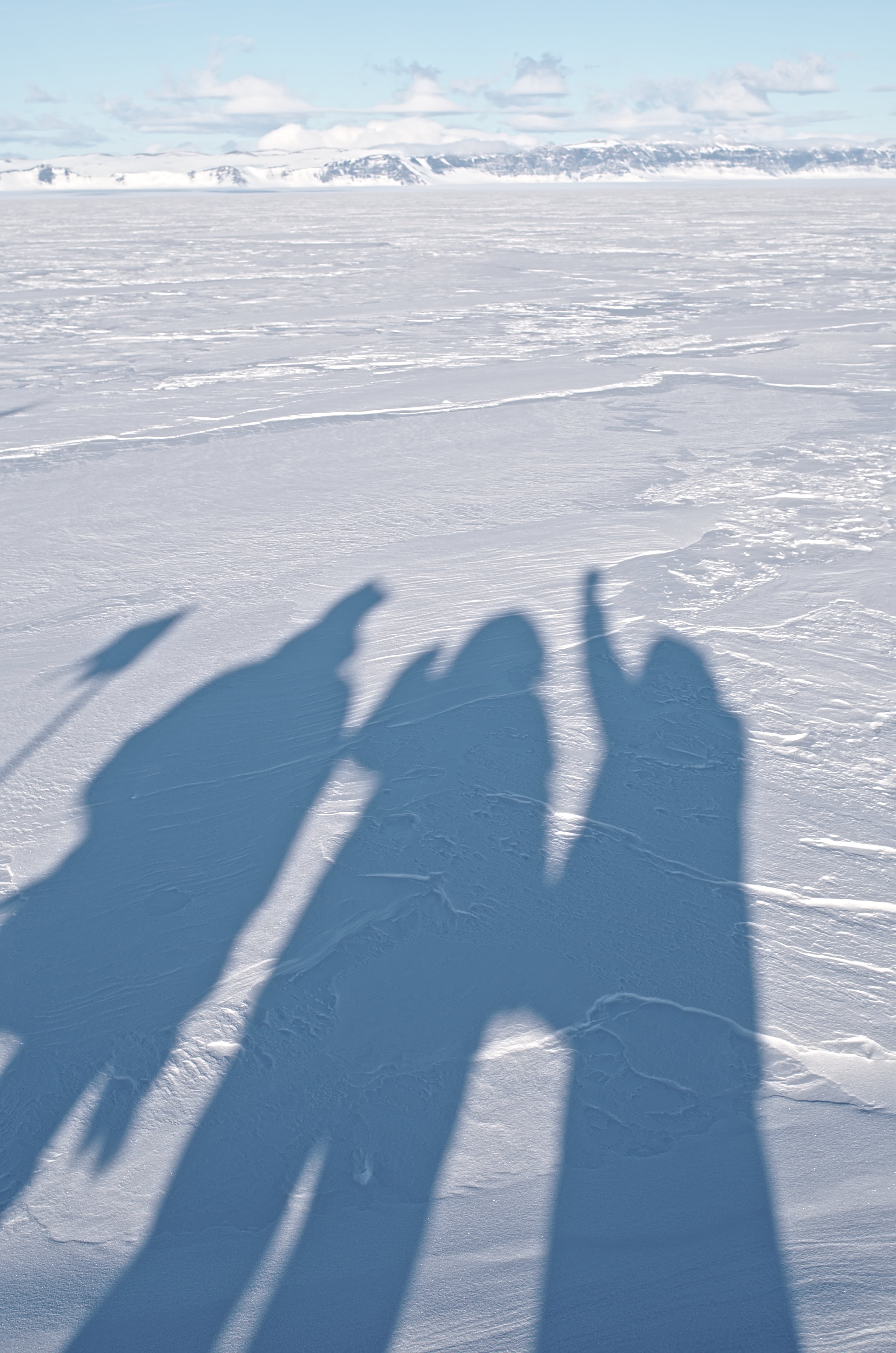 Team on ice